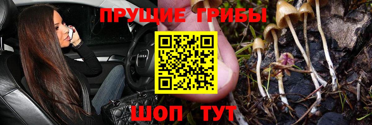 Псилоцибиновые грибы мухоморы Богданович