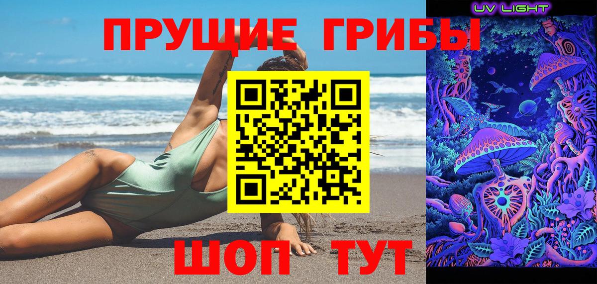 Богданович  Галлюциногенные грибы прущие грибы  цены наркотик  Вход с VPN  Псилоцибиновые грибы ЛСД 